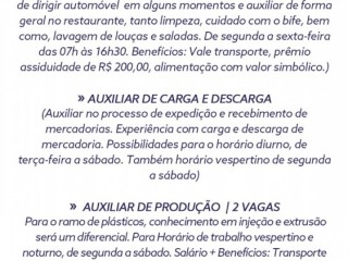 Oportunidades de emprego na PLENUS GESTÃO DE TALENTOS