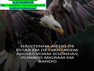 Declaração de Trabalho Autônomo e Profissional Liberal - Holerites/Irpf